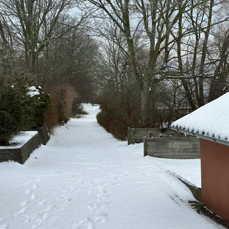 Der er stier, huler, gåture liden udenfor døren